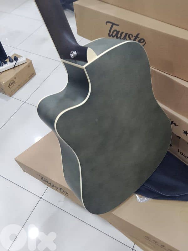 guitar electro accoustic 2