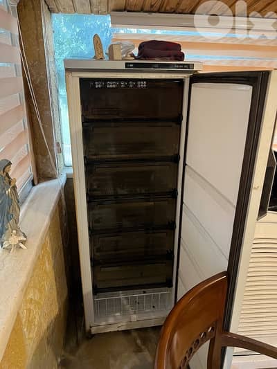 berrad w ghissele w freezer 500$