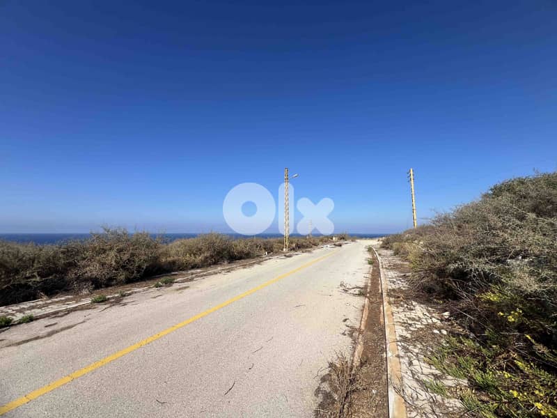 Land For Sale In Berbara | Sea View | أرض للبيع | PLS 26399/3 1