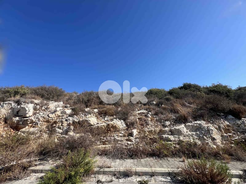 Land For Sale In Berbara | Open View | أرض للبيع | PLS 26399/9 5