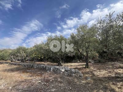 Land For Sale In Chikhane | Panoramic View | أرض للبيع | PLS 26398