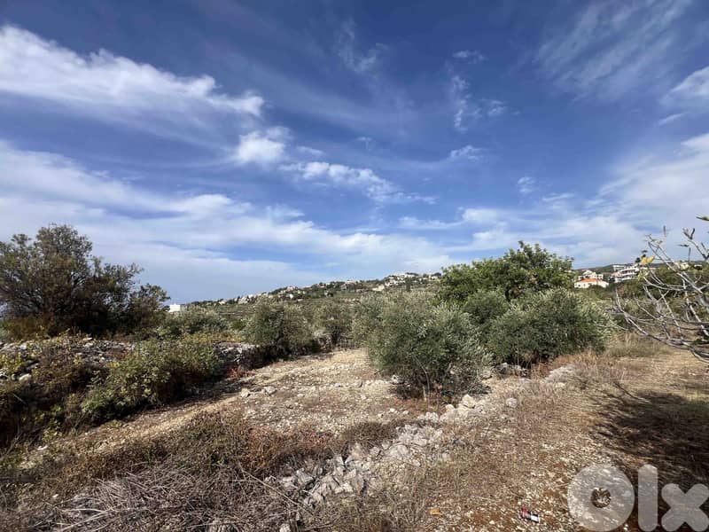 Land For Sale In Chikhane | Panoramic View | أرض للبيع | PLS 26398 2