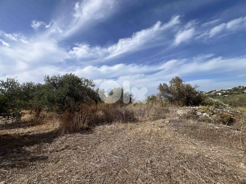 Land For Sale In Chikhane | Panoramic View | أرض للبيع | PLS 26398 3