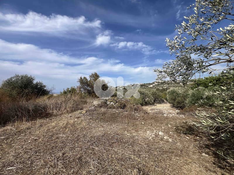 Land For Sale In Chikhane | Panoramic View | أرض للبيع | PLS 26398 4