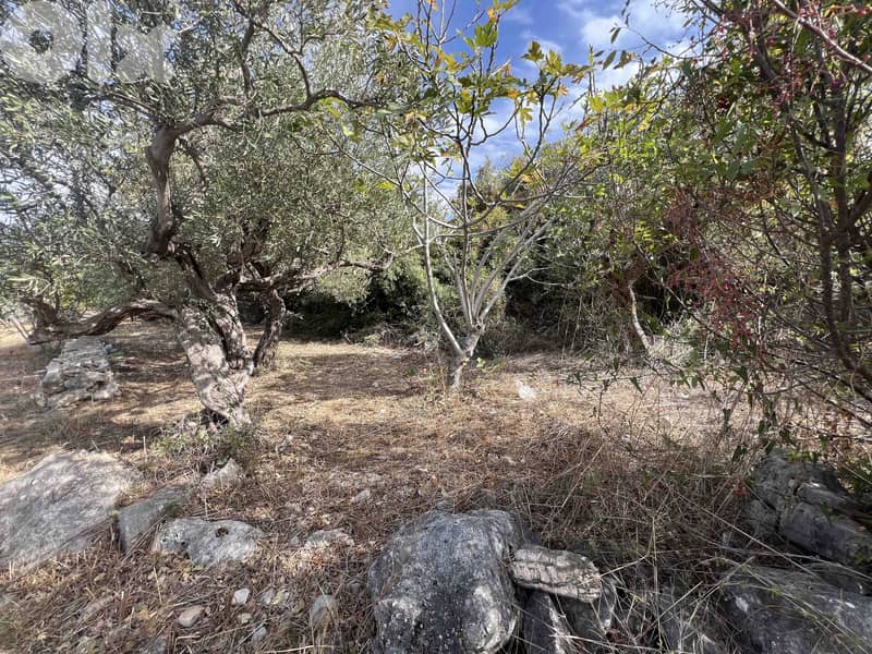 Land For Sale In Chikhane | Panoramic View | أرض للبيع | PLS 26398 5