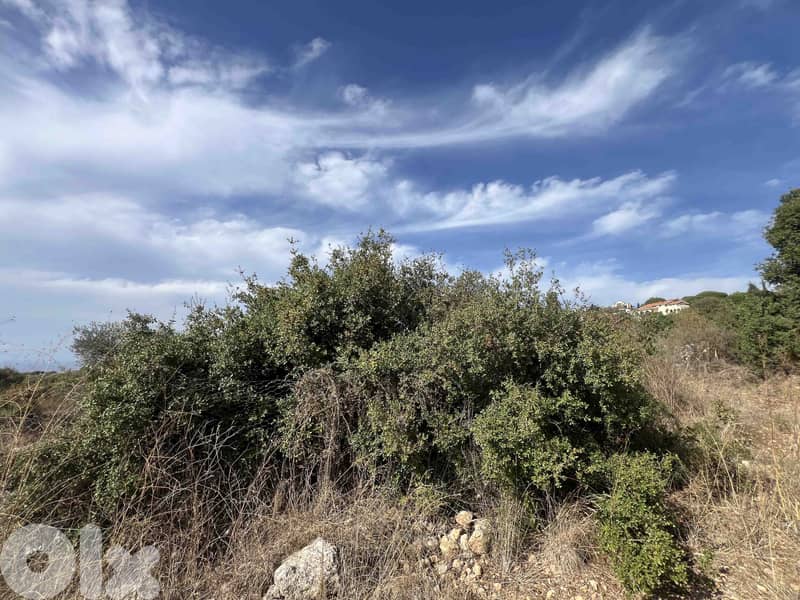 Land In Chikhane For Sale | Jbeil | أرض للبيع | جبيل | PLS 26397 3