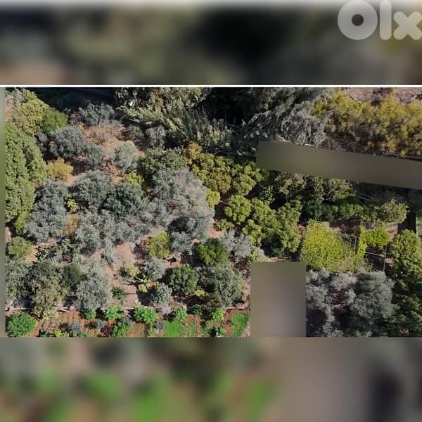 عقار للبيع في منطقه البترون . . land for sale in Batroûn 1