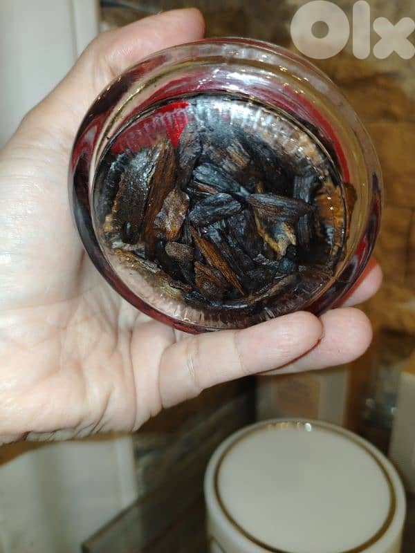 بخود و عود 4