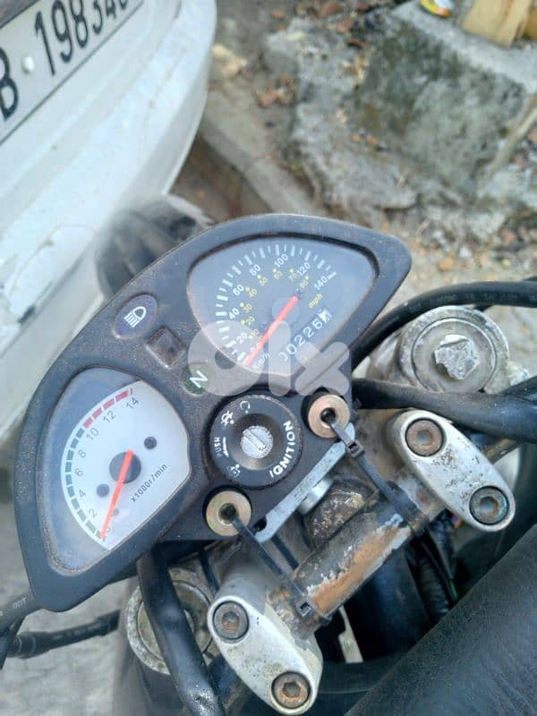 Kinfan standard japan 1