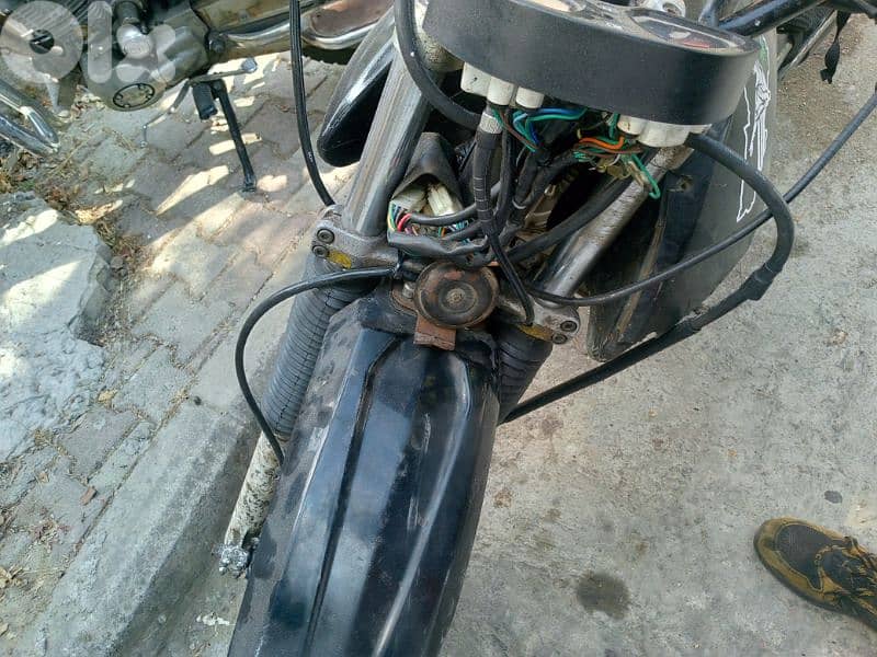 Kinfan standard japan 3