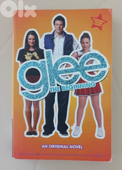 2 glee novels:The Beginning + Summer Break
