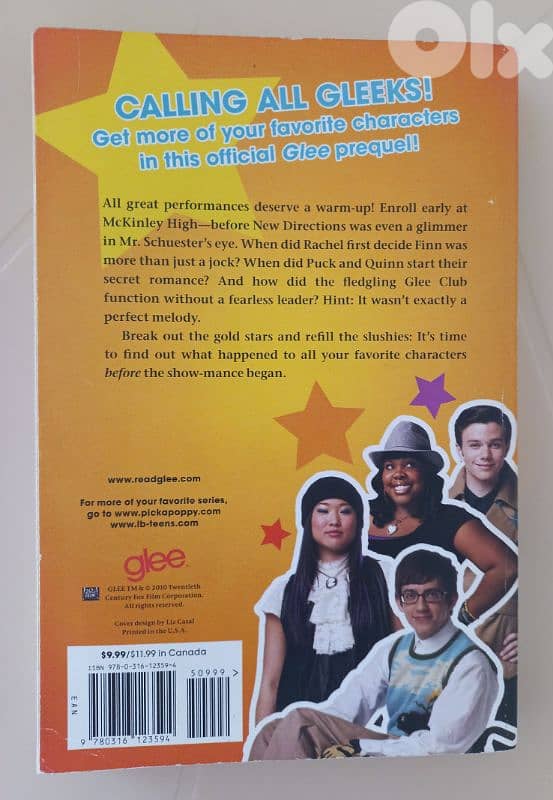 2 glee novels:The Beginning + Summer Break 1