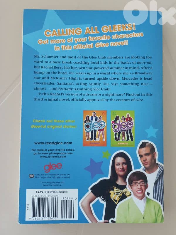 2 glee novels:The Beginning + Summer Break 3