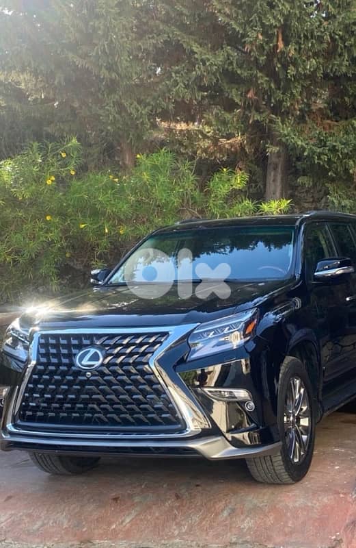 Lexus GX-Series 2010 0