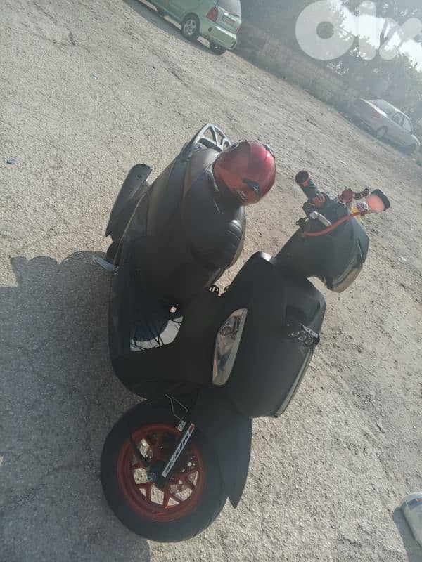 sweet venom 125 CC 2024 2