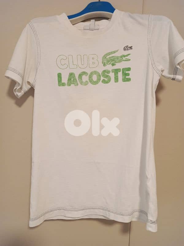 Lacoste and US POLO shirts 2