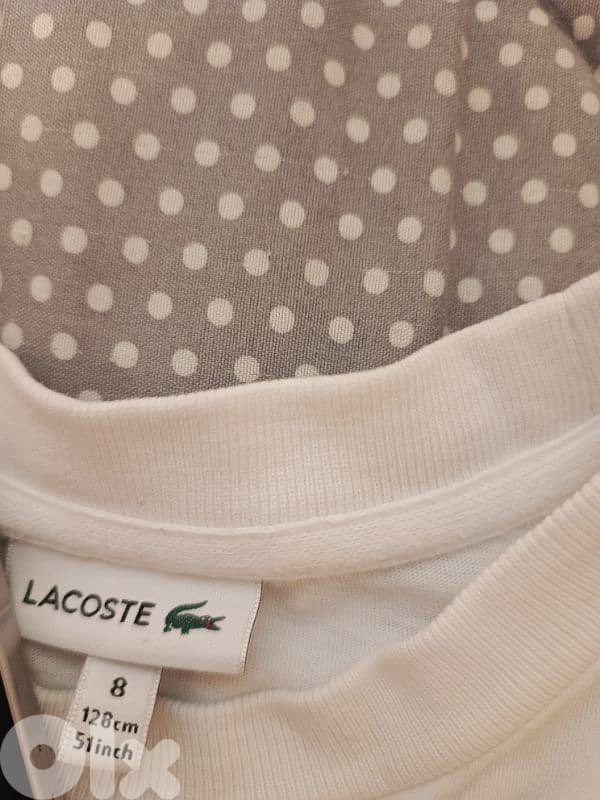 Lacoste and US POLO shirts 3