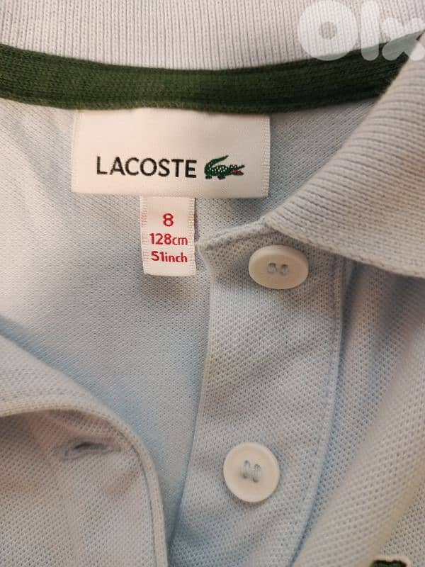 Lacoste and US POLO shirts 5