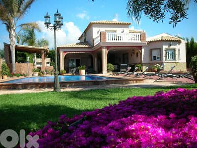LUXURIOUS VILLA FOR SALE IN ADMA PRIME (AD-180)