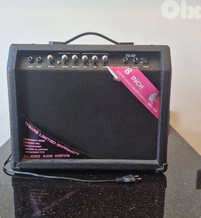 Electric Guitar Amplifier
