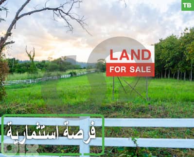 Investment opportunity, great deal, koura, barsa/برسا  REF#TB127897