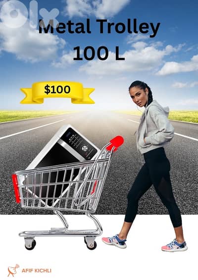 Trolleys & Baskets for Supermarket & Stores & Pharmacy