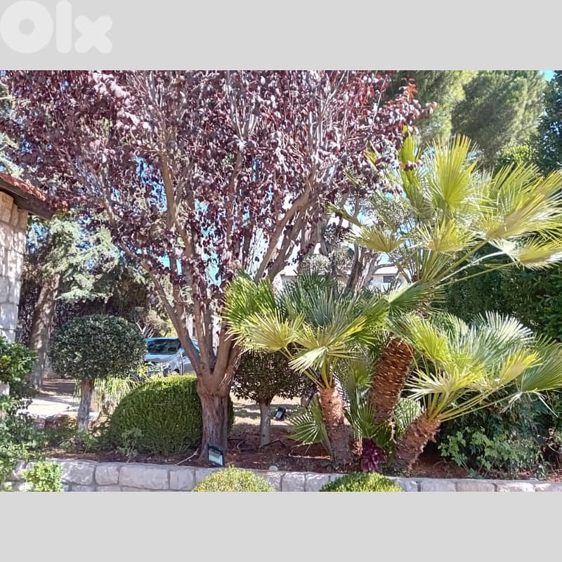 Land In Ajaltoun | 2000 sqm | Prime Location 2