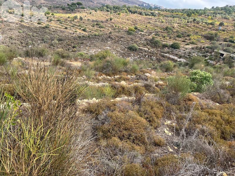 Land for Sale in Btalloun–Zone 25/50 11