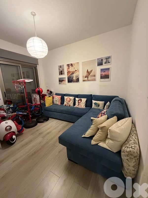 living room sofas+tableaux+tv unit 1