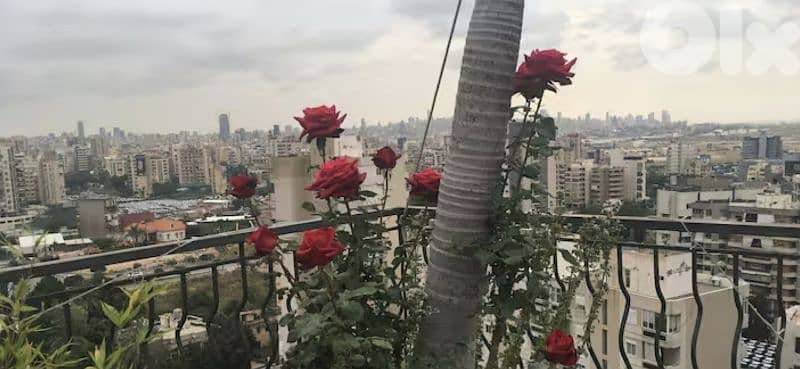 Roof Studio Amazing View Zalka Daily Rent 12