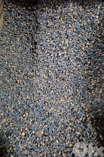 كبش قرنفل طبيعي