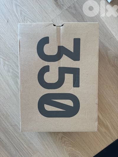 Adidas Yeezy Sneaker