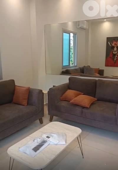 furnished new appartment