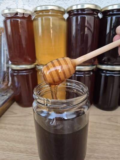 عسل النحل الطبيعي مصدره من المنحلة مباشرة