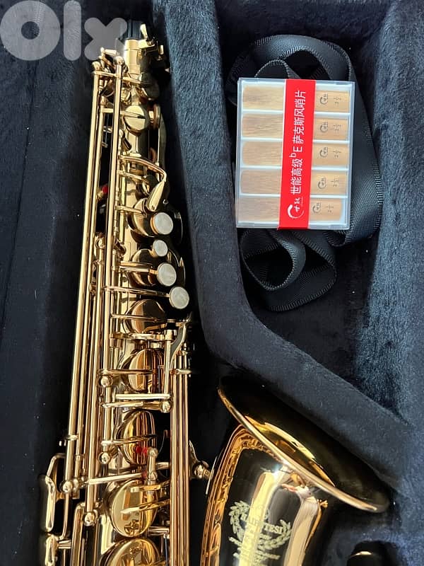 Saxophone Alto Eb barely used 98% new 5