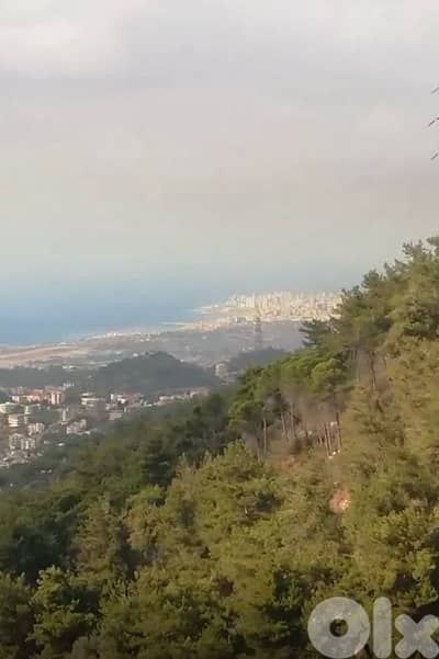 شقه مع اطلاله مميزه على المطار والبحر للإيجارفي عاليه عيناب