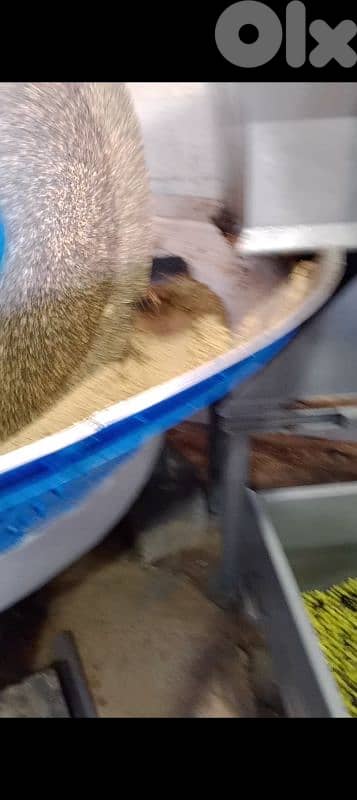 المية ومية 7