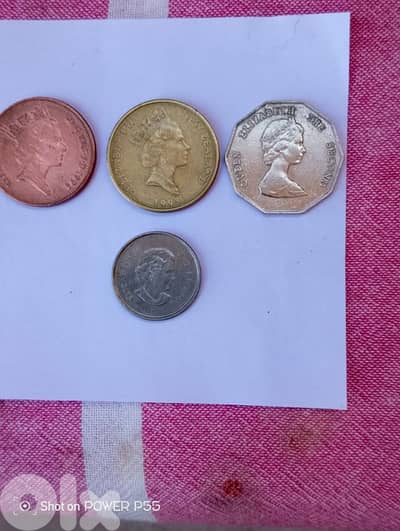 دكوانة المتن