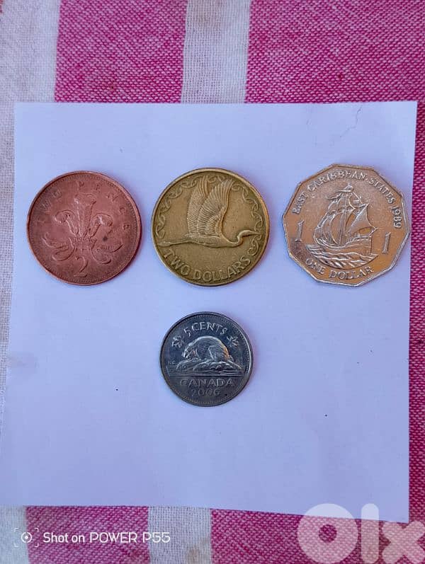 دكوانة المتن 1