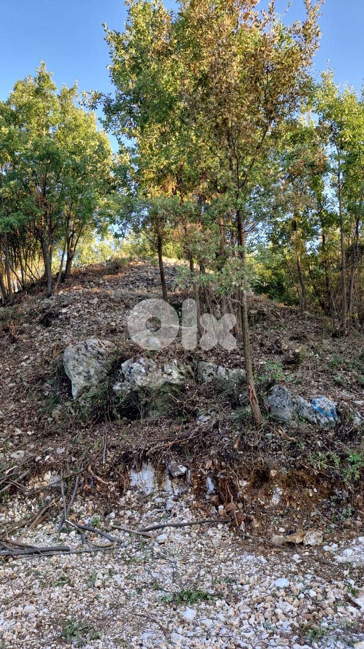 RWB172RH - Land for sale in Chabtine - Batroun 4