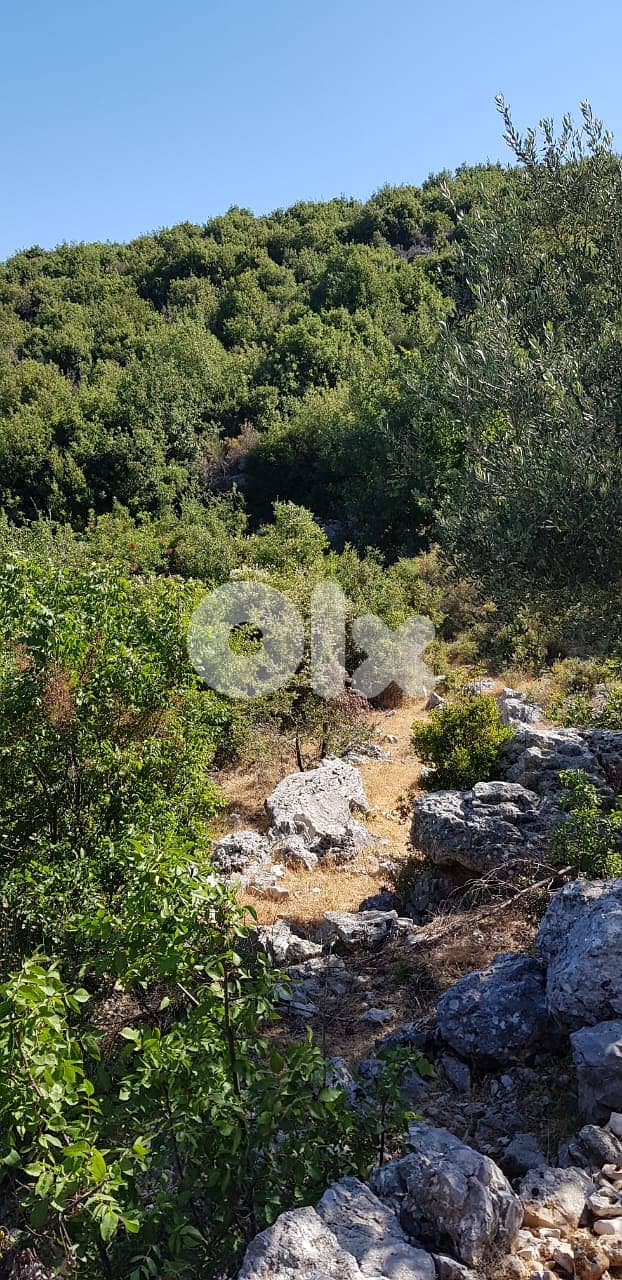 Land for sale in Nehla-Batroun ارض للبيع في نحلا-البترون 0