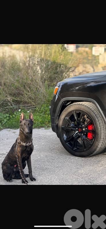 بعبلك لبنان دورس 3