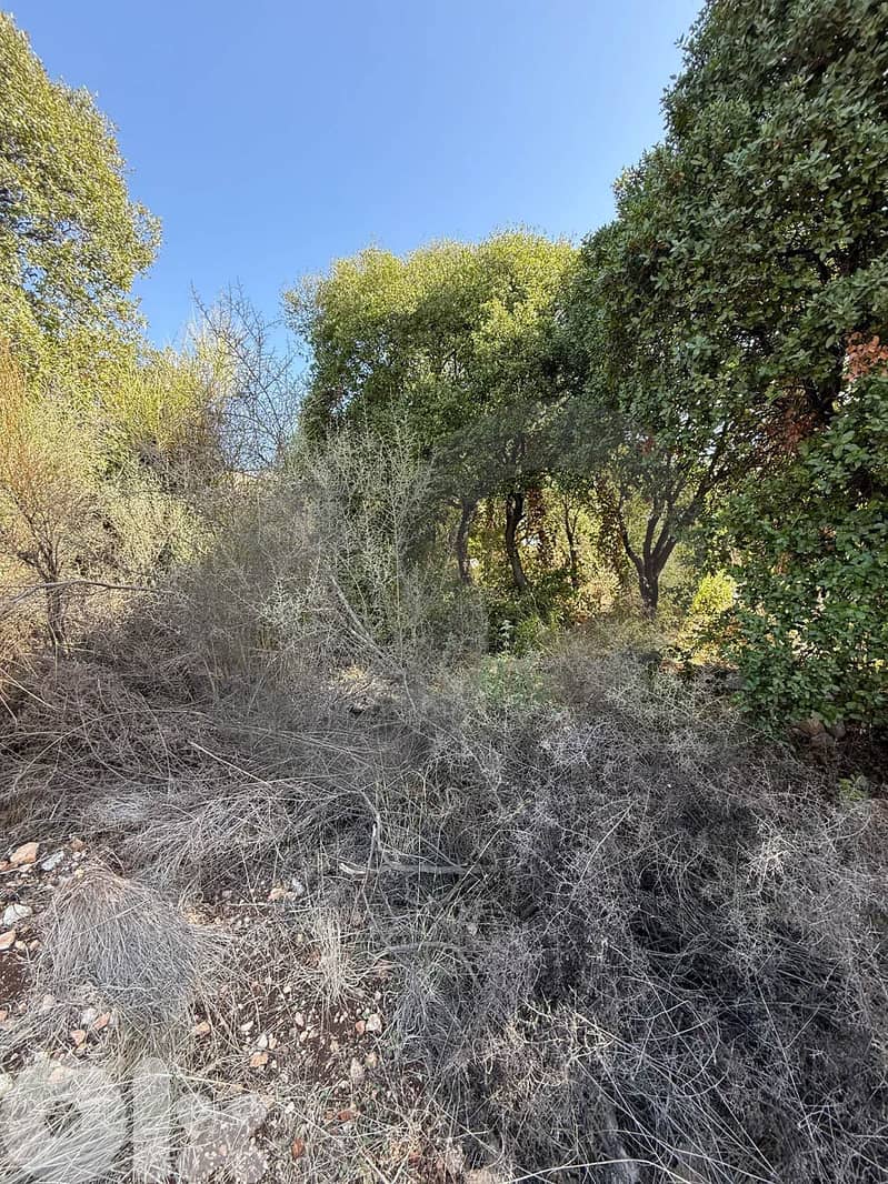 Great deal, prime location, jbeil, chikhan/شيخان، جبيل REF#AB127963 3