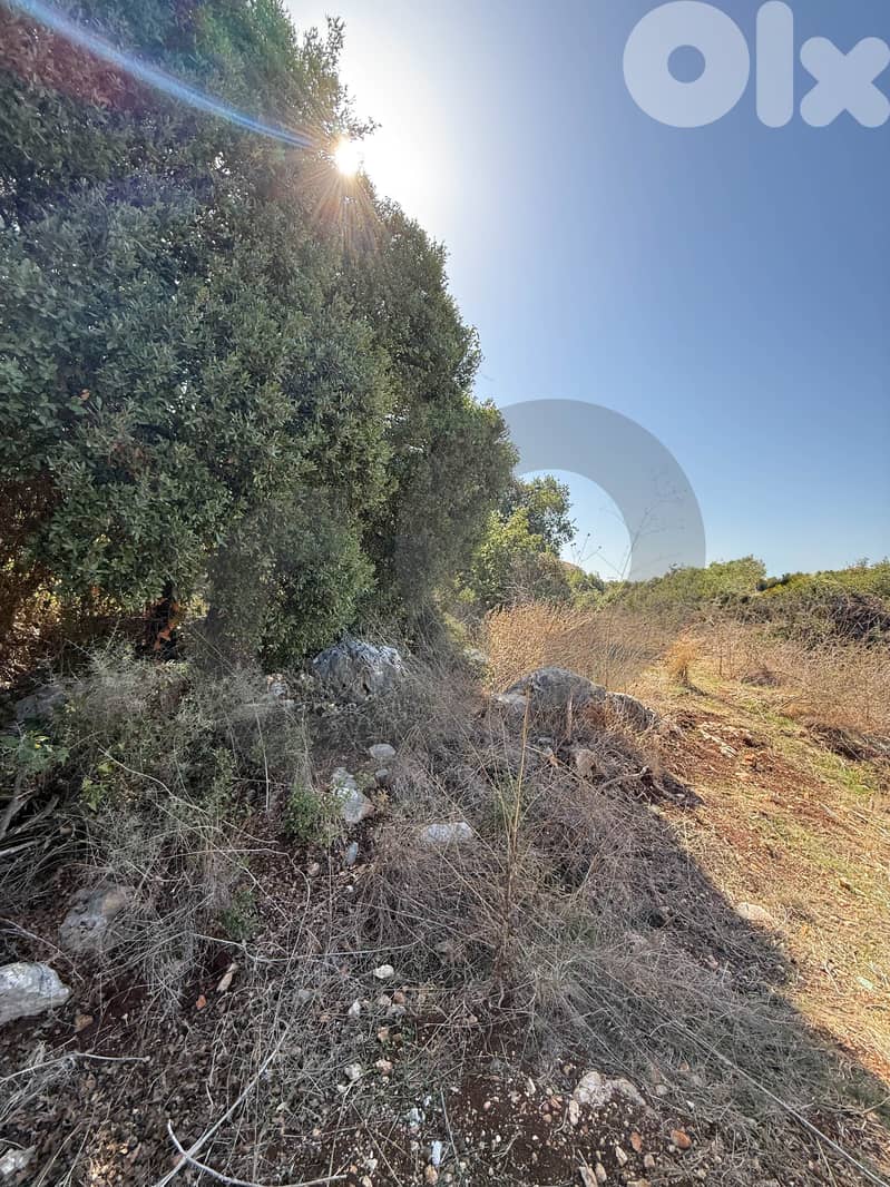 Great deal, prime location, jbeil, chikhan/شيخان، جبيل REF#AB127963 4