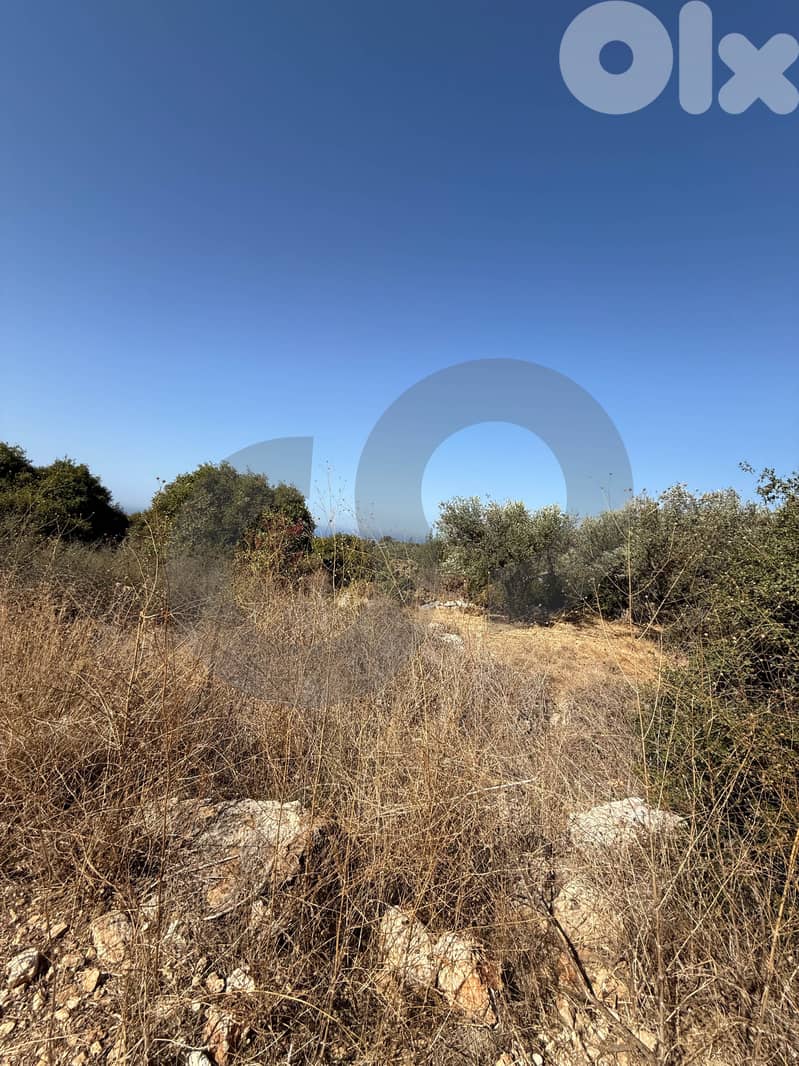 Great deal, prime location, jbeil, chikhan/شيخان، جبيل REF#AB127963 7