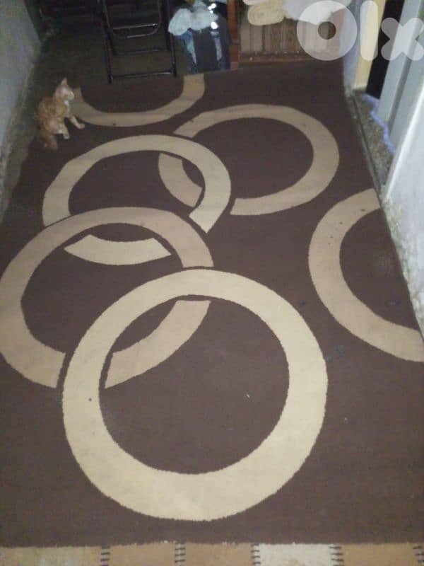 طرابلس القبة 0