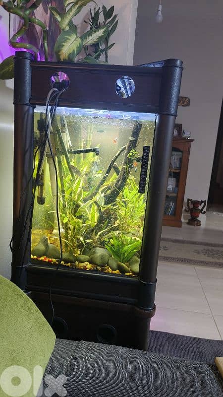 Aquarium 30 Gal Custom 6