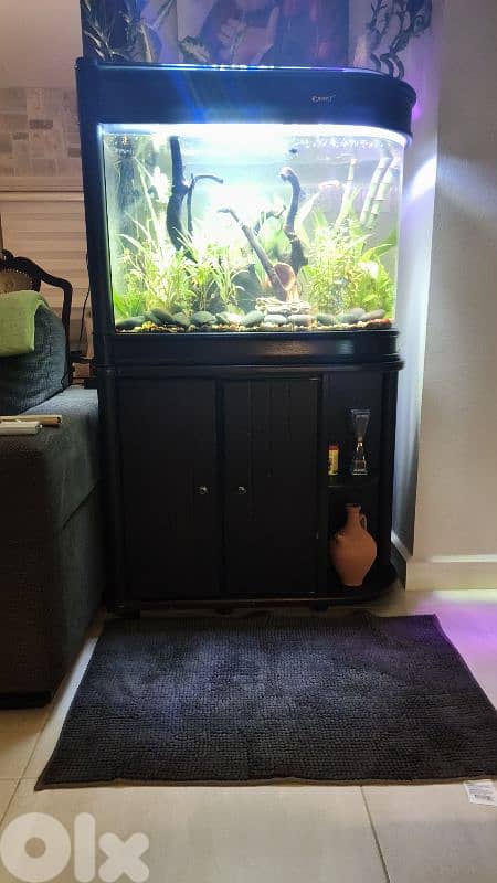 Aquarium 30 Gal Custom 4