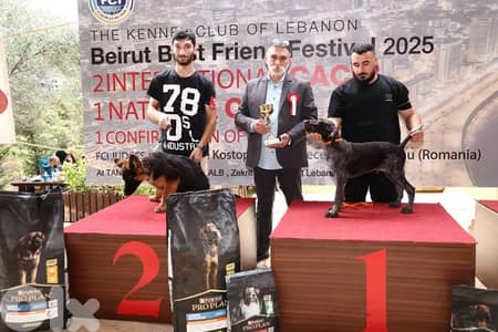 German shepperd champion bloodline