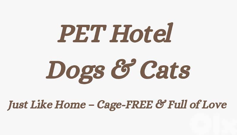 Pet Hotel 1